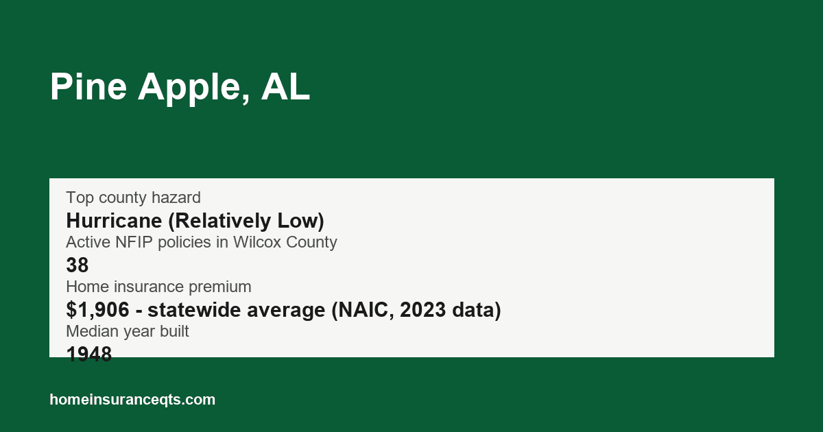 Key home insurance figures for Pine Apple, AL