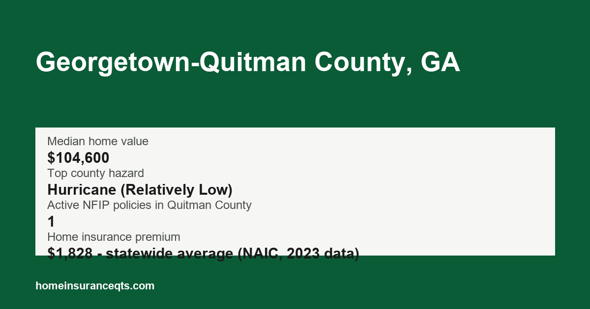 Key home insurance figures for Georgetown-Quitman County, GA