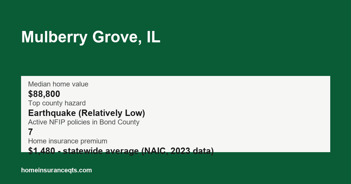 Key home insurance figures for Mulberry Grove, IL