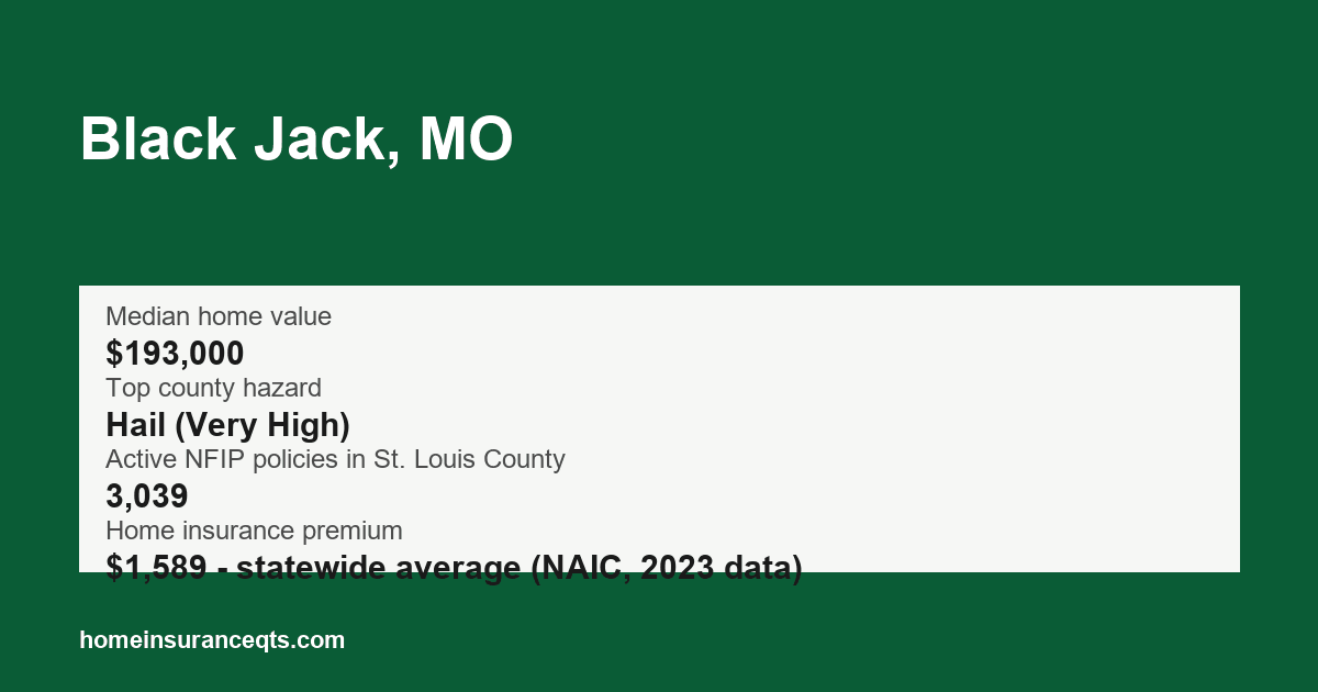 Key home insurance figures for Black Jack, MO