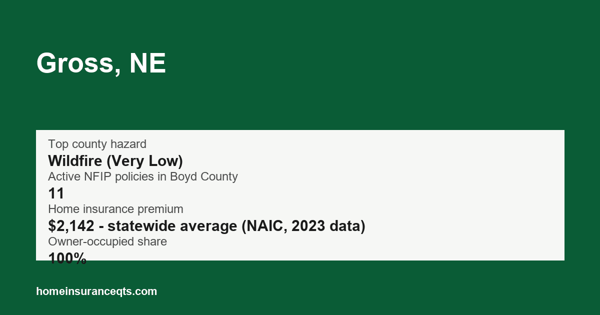 Key home insurance figures for Gross, NE